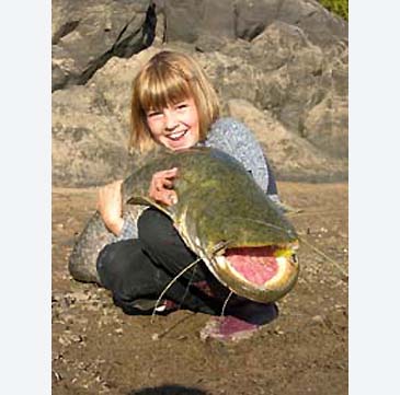 Record photograph for Silurus soldatovi